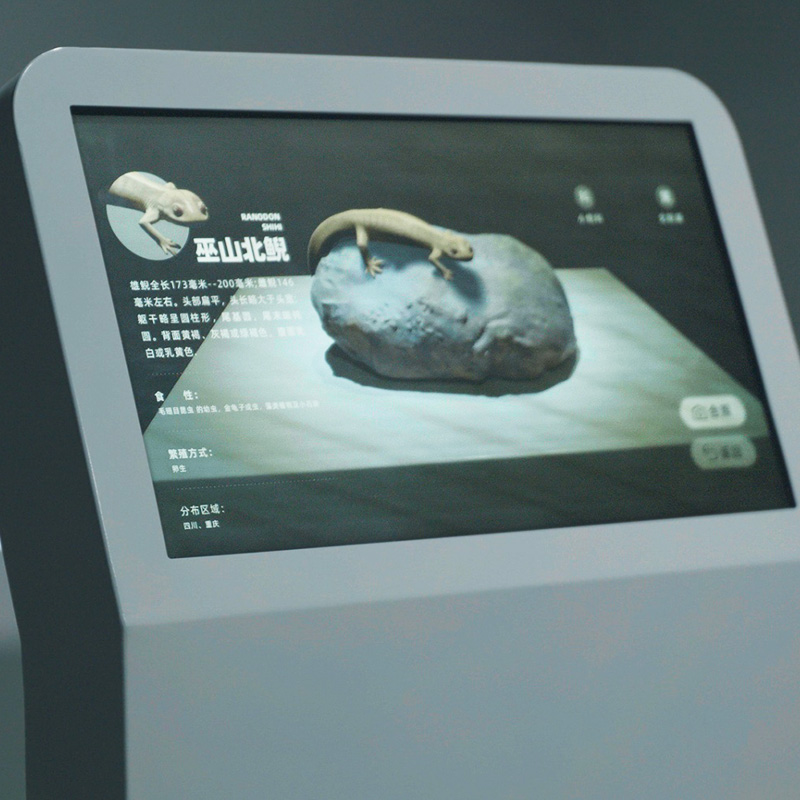 水陆精灵AR投喂体验